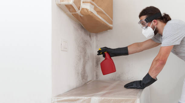 Professional Basement Mold Removal technician working in Thompsonville, MI