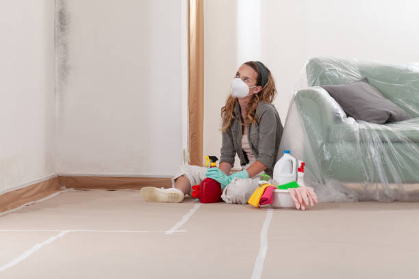 Reliable Basement Mold Removal contractor in Thompsonville, MI by WQB Mold Removal
